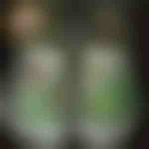 14 x Božićni svjetleći ukrasi za cipele | SHINETAGS