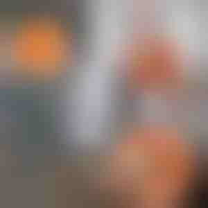 Podesiv Mop za Čišćenje sa Rotacijom od 360 Stupnjeva | CORALMOP