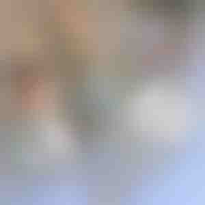 Traka za popravak mreže protiv komaraca | INSECTAPE