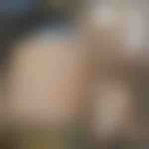 3D tapete s imitacijom kamena (10 kom) | STONEBLOCKS