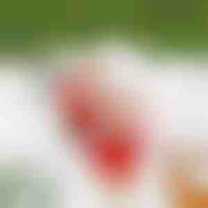 Glazbeni Djed Božićnjak na užetu | SANTACLIMB