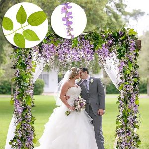 Simulacija cvijeta glicinije | WISBLOOM