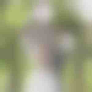 Simulacija cvijeta glicinije | WISBLOOM