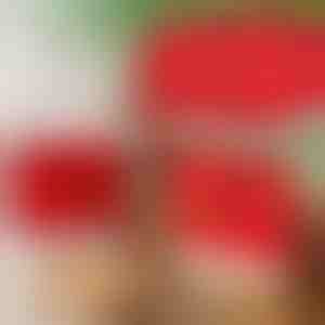 Božićne navlake za blagovaonske stolice (4 kom) | SANTASEAT