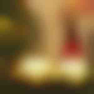 Svjetleći božićni vilenjak | GNOMEK