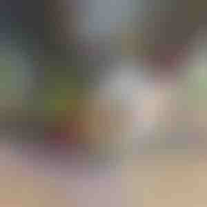 Sjeckalica i rezač povrća 12 u 1 | CHOPMASTER