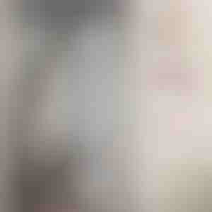 Magnetna mreža protiv komaraca | INSECTPROTECT