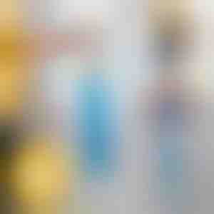 Četka za prašinu sa dugim dosegom | DUSTOFF