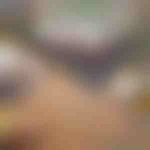 Sklopivi prijenosni roštilj | GRILLOMATE