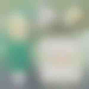 Instantno rješenje za popravak zidova | WALLFIX