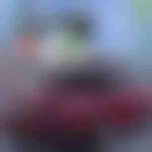 Najbolja ljetna zaštita za automobile! | CARCOVER