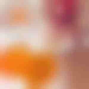 Preša za ćevapčiće | CEVAPMAKER