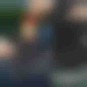 Višenamjenska viseća kanta | CLEANMOBIL