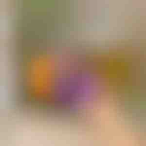 Organizator za hladnjak s automatskim klizanjem | DRINZER