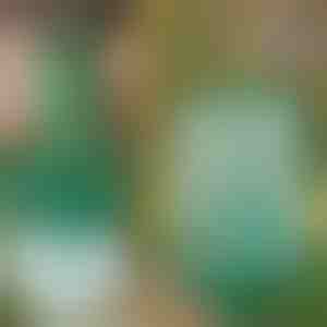 Višekratna viseća zamka za muhe i insekte | INSECTA