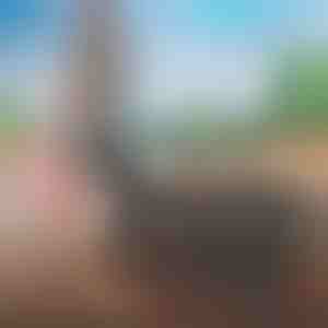 Putna torba koja se lako pakira | FOLDARA