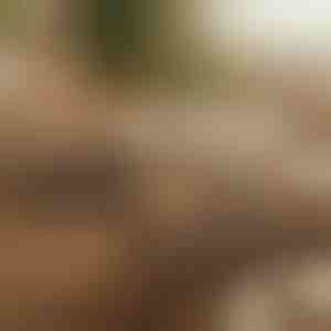 Magnetski samoljepljivi organizator kabela (12 komada) | CABLIP