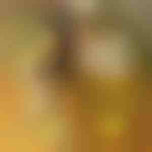 LED akrilna rasvjetna ploča sa 7 markera | LUMOBOARD