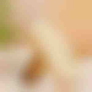 Gumena četka za cipele | RUBSHOE