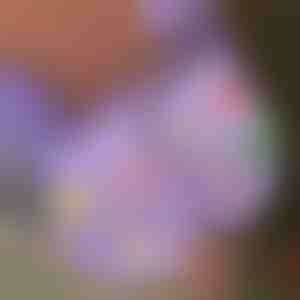 Božićni svjetleći privjesci za cipele (7 komada) | SHINETAGS