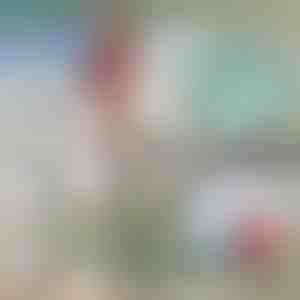 Teleskopska metalna kuka za brod | FASTDOCK