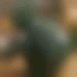 Shiatsu jastuk za masažu s grijanjem | MASSORA