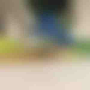 Električni uređaj za guljenje voća i povrća | PEELMATIC